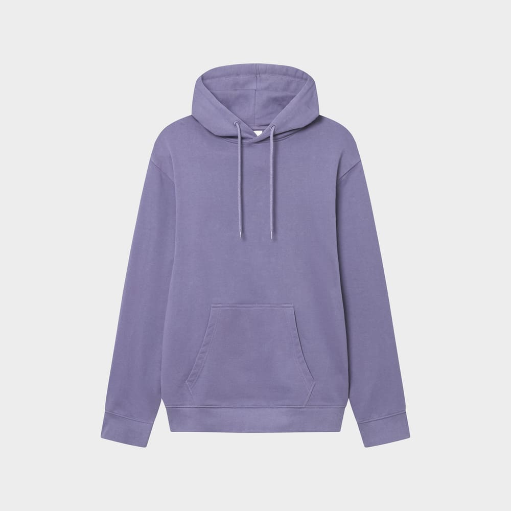 Hoodie FALUN - blue heron